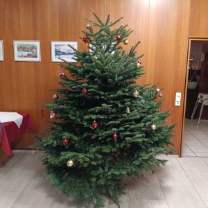 FWD Weihnachtsfeier 2025 1 Tannenbaum