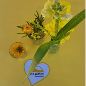Sommerfest Steinbruch Leferenz 2